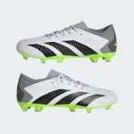 کفش فوتبالی Adidas pradator academy GZ0014